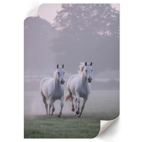 Poster leinwand Galoppierende Pferde