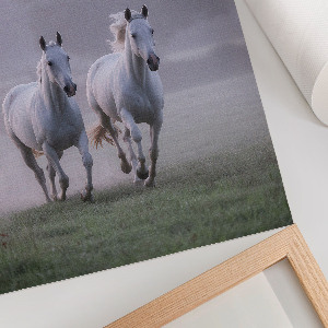 Poster leinwand Galoppierende Pferde