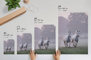 Poster leinwand Galoppierende Pferde