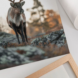 Kunstdruck leinwand Hirschnatur
