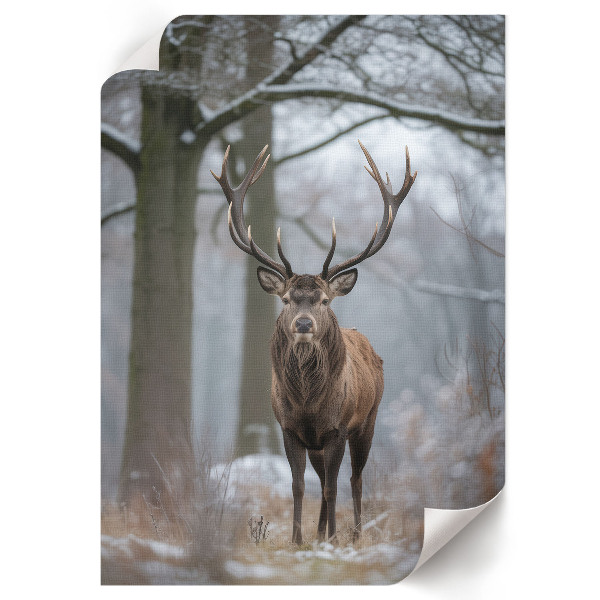 Poster auf leinwand Winterhirsch