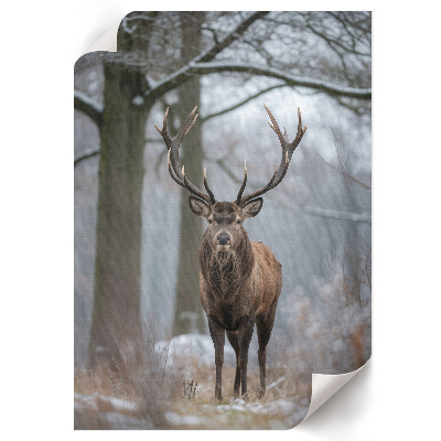 Poster auf leinwand Winterhirsch