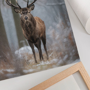 Poster auf leinwand Winterhirsch