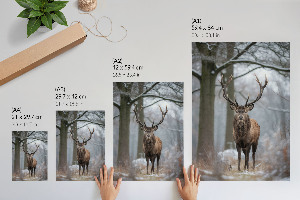 Poster auf leinwand Winterhirsch