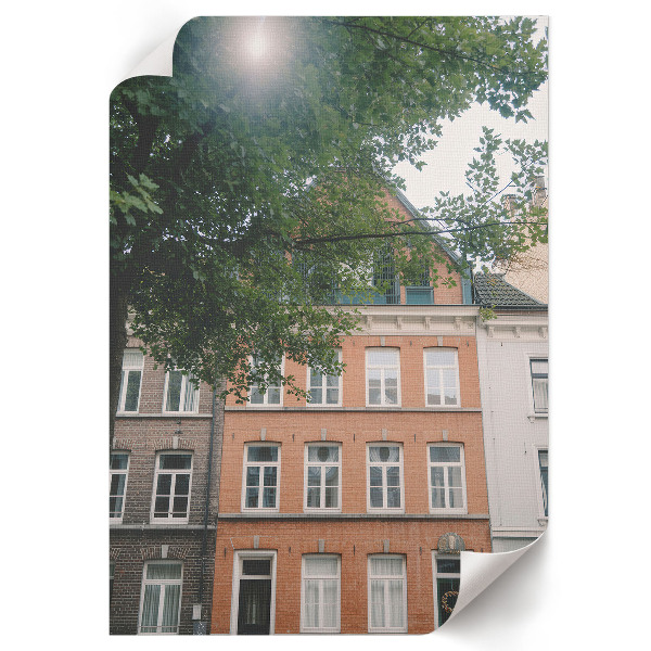 Bilder poster Natur des Mietshauses