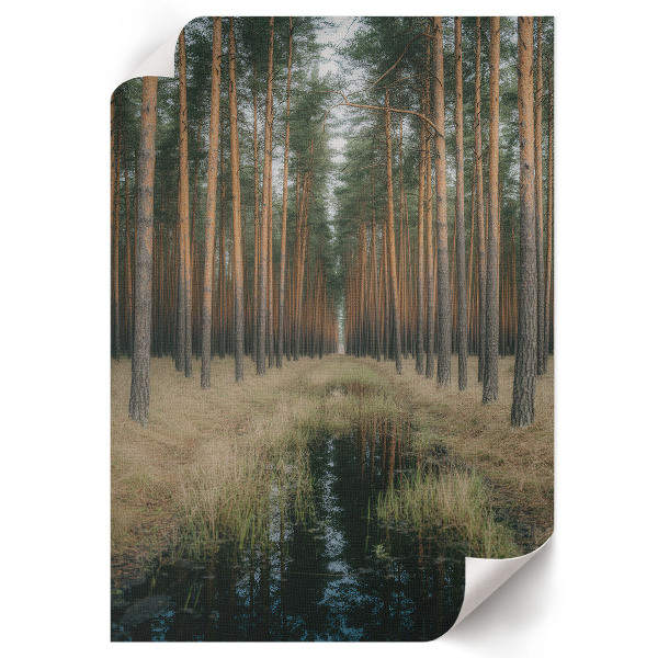 Kunstdruck leinwand Waldsymmetrie