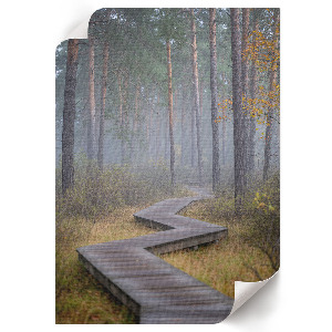 Kunstdruck mit Motiv eines Waldwegs