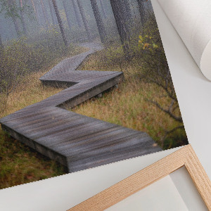 Kunstdruck mit Motiv eines Waldwegs