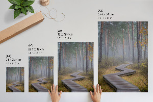 Kunstdruck mit Motiv eines Waldwegs