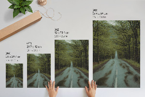 Poster auf Leinwand mit Motiv 'Waldreise'