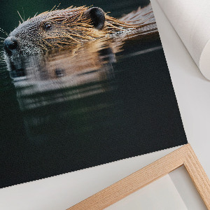 Kunstdruck auf Leinwand mit Motiv eines Bibers im Wasser