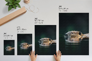 Kunstdruck auf Leinwand mit Motiv eines Bibers im Wasser