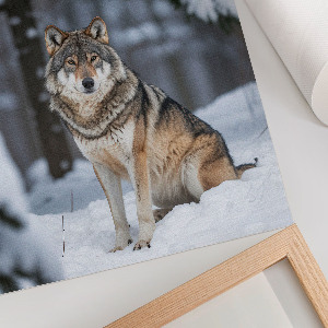 Kunstdruck auf Leinwand mit Motiv Wolf im Schnee