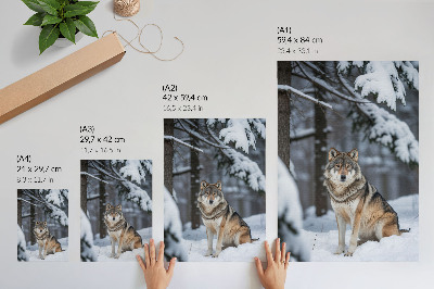Kunstdruck leinwand Wolf im Schnee