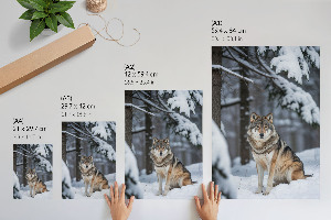 Kunstdruck auf Leinwand mit Motiv Wolf im Schnee