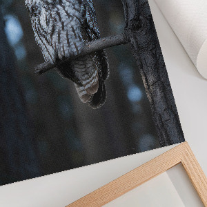 Poster Kunstdruck mit einer Eule bei Nacht