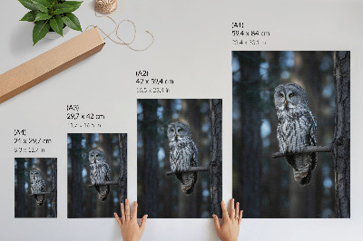Poster kunstdruck Eule bei Nacht