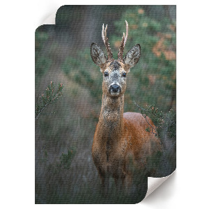 Kunstdruck auf Leinwand mit Motiv „Hirsche im Wald”