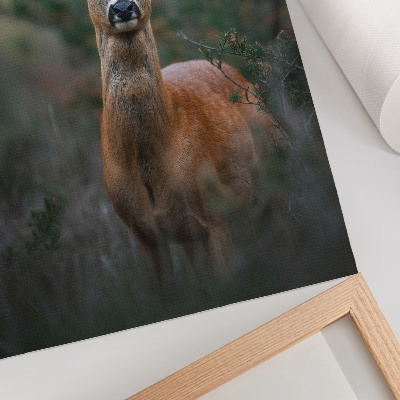 Kunstdruck leinwand Hirsche im Wald