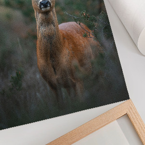 Kunstdruck auf Leinwand mit Motiv „Hirsche im Wald”