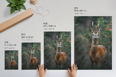 Kunstdruck leinwand Hirsche im Wald