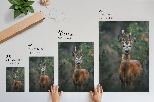 Kunstdruck auf Leinwand mit Motiv „Hirsche im Wald”