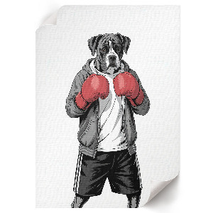 Bilderposter mit Boxerhund