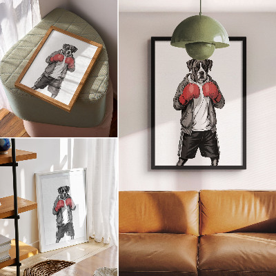 Bilder poster Boxerhund