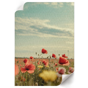 Kunstdruckposter mit Sommerblumenmotiv