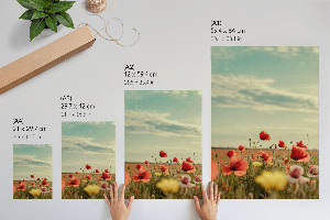 Kunstdruckposter mit Sommerblumenmotiv