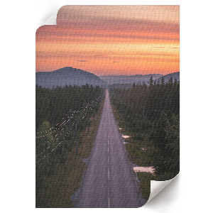 Retro-Poster mit Waldweg