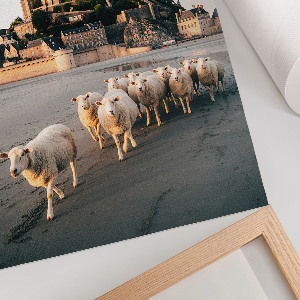 Poster-Kunstdruck mit Motiv Schafe und Burg