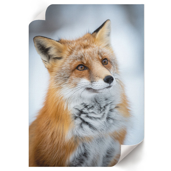 Wandposter mit Winterfuchs-Motiv