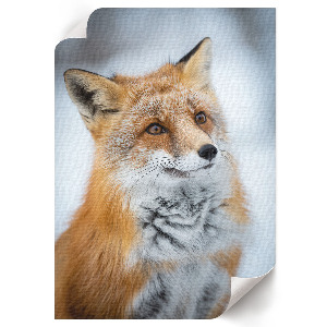 Wand poster Winterfuchs