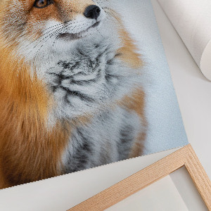 Wandposter mit Winterfuchs-Motiv