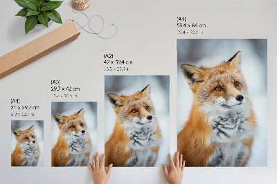 Wand poster Winterfuchs