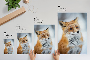 Wandposter mit Winterfuchs-Motiv