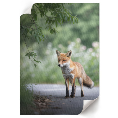 Kunstdruck leinwand Fuchs in der Natur