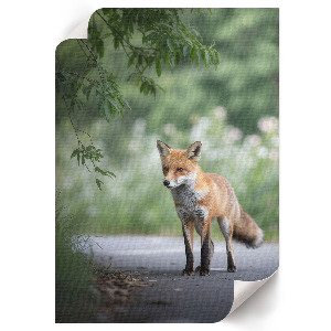 Kunstdruck auf Leinwand mit Fuchs in natürlicher Umgebung