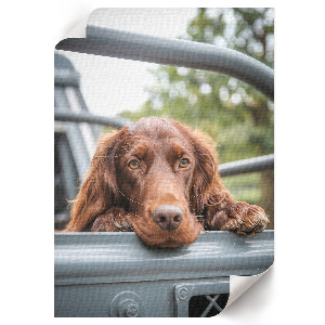 Poster mit Hund im Auto