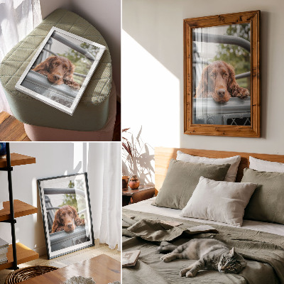 Bilder poster Hund im Auto