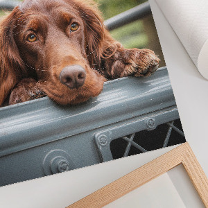 Poster mit Hund im Auto