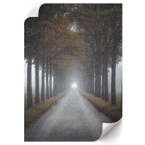 Poster Kunstdruck „Nebelgasse“