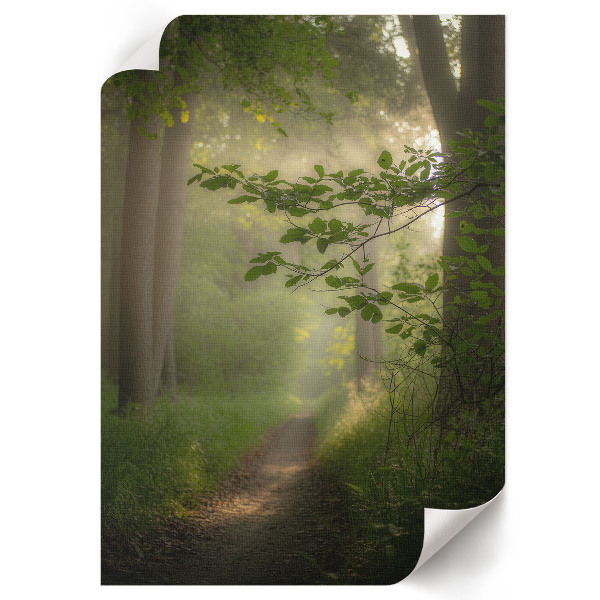 Wandposter „Waldfrieden“