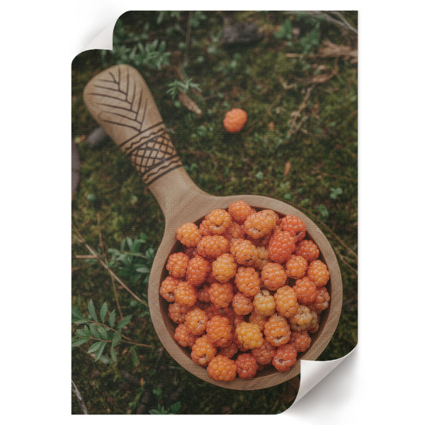 Poster auf Leinwand mit Waldbeeren-Motiv