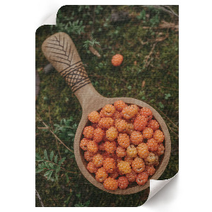 Poster auf Leinwand mit Waldbeeren-Motiv