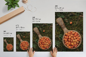 Poster auf Leinwand mit Waldbeeren-Motiv