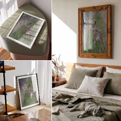 Bilder poster Hase in der Natur
