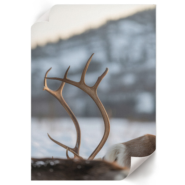 Poster Kunstdruck mit Winterrentier-Motiv