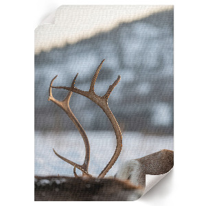 Poster Kunstdruck mit Winterrentier-Motiv
